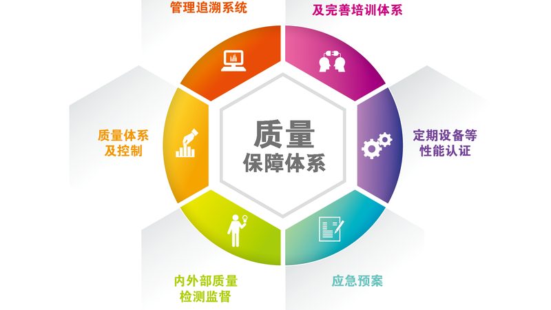 老年人气血调理：五大注意事项，守护健康每一步